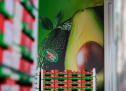 westfalia fruit 向中国交付首批南非牛油果